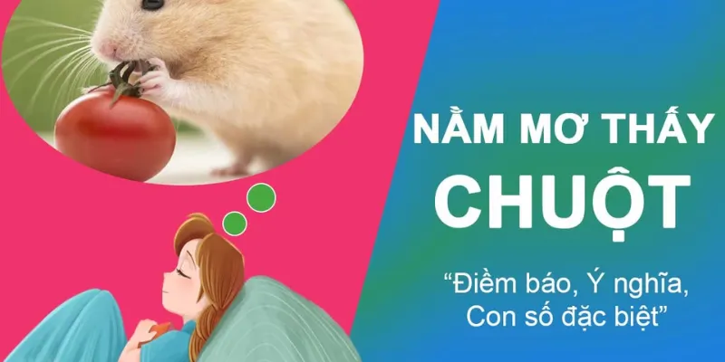 Nằm mơ thấy chuột - Mối quan hệ với số phận và đời sống thực