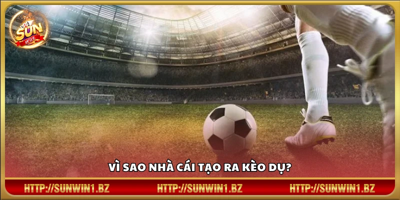 Lý do nhà cái thường đưa ra kèo dụ để điều hướng người chơi